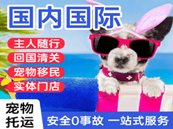 新桥空运公司国际宠物托运 【国